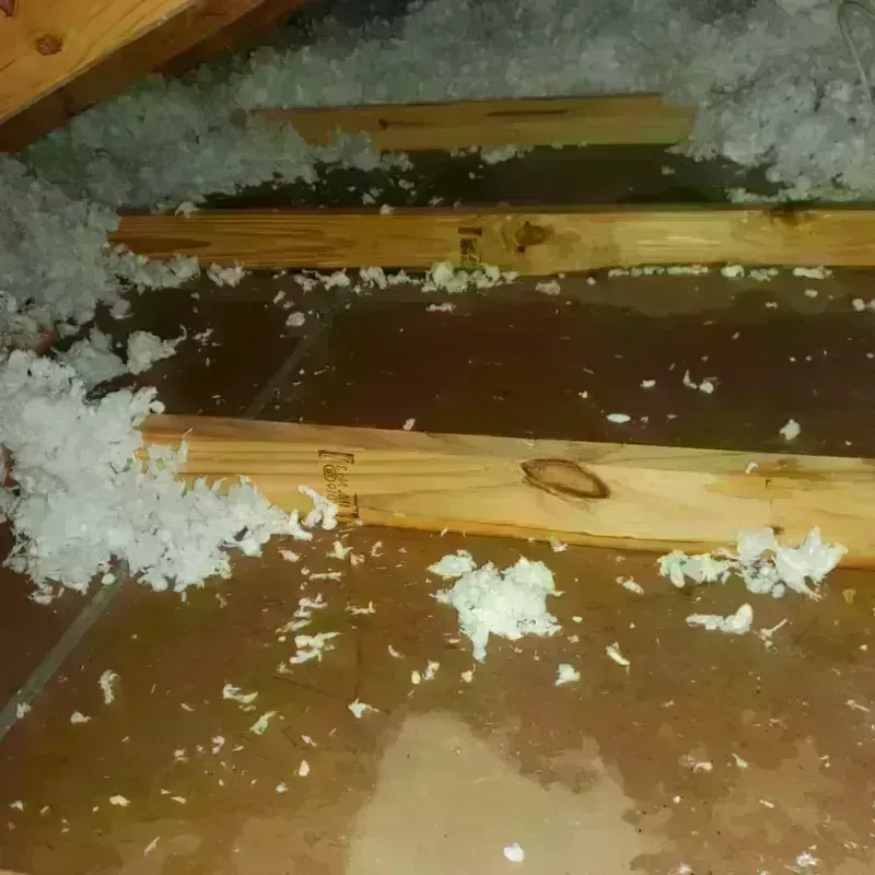 Attic Water Damage in Lackland Air Force Base, TX